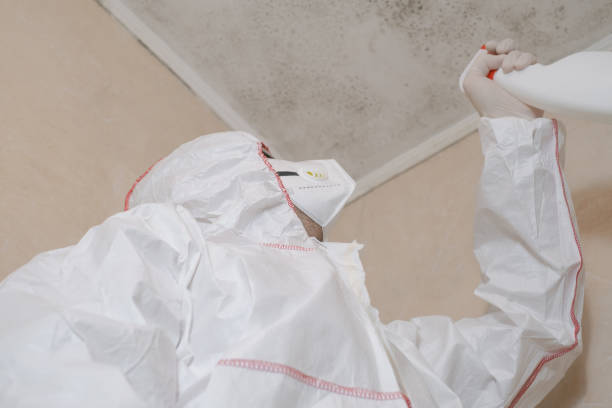 Best Crawl Space Mold Removal  in Pine Castle, FL